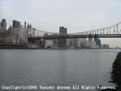 Yasushi Aoyama in NY