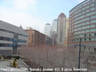 Yasushi Aoyama in NY