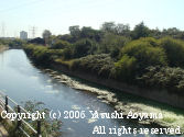 Yasushi Aoyama in London